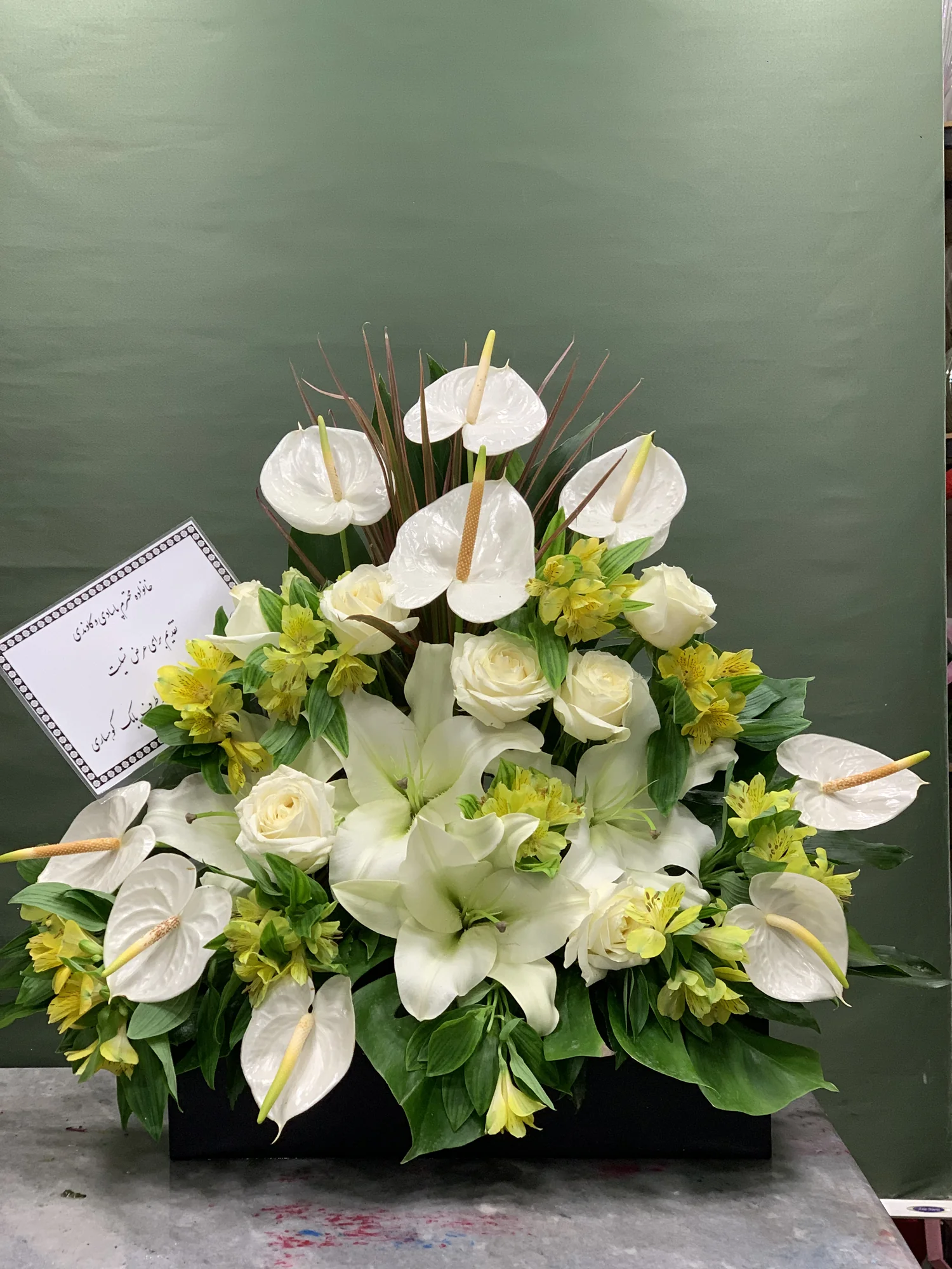 Serene Tribute